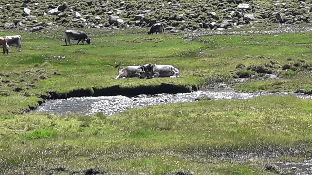 Haus Am Rechten Fleck Kaunertal Bagian luar foto