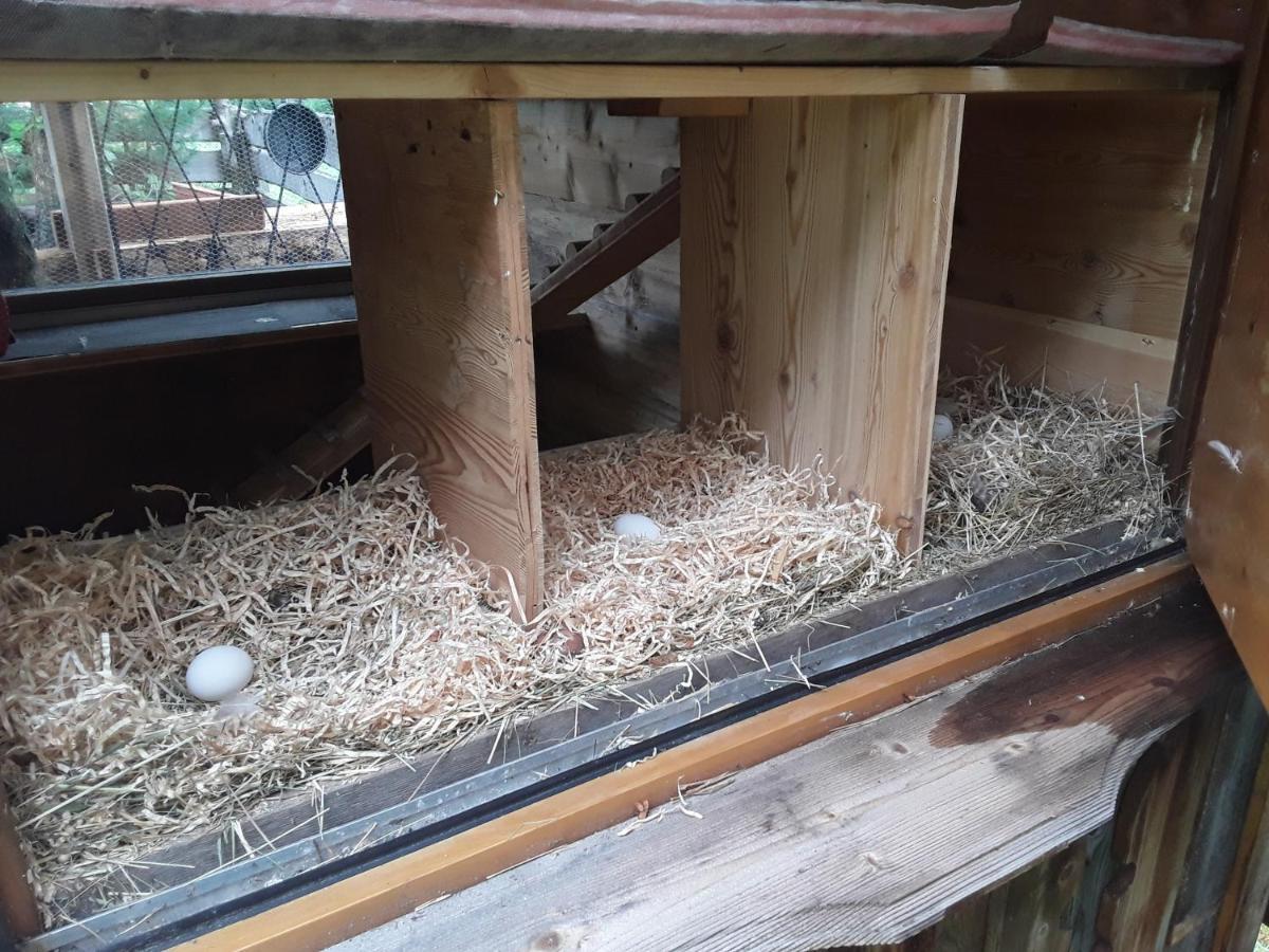 Haus Am Rechten Fleck Kaunertal Bagian luar foto