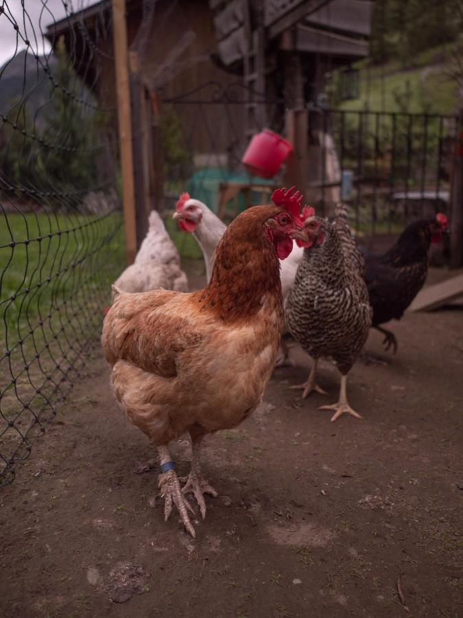 Haus Am Rechten Fleck Kaunertal Bagian luar foto